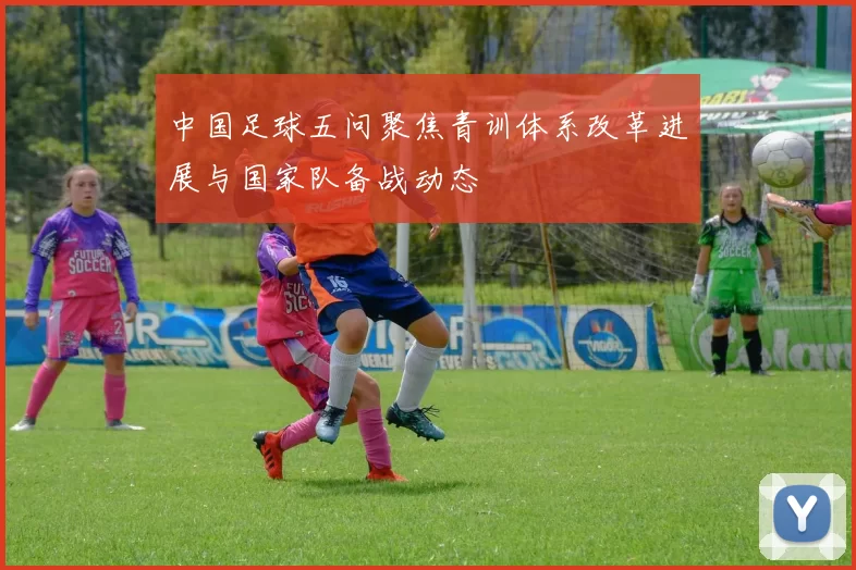 中国足球五问聚焦青训体系改革进展与国家队备战动态